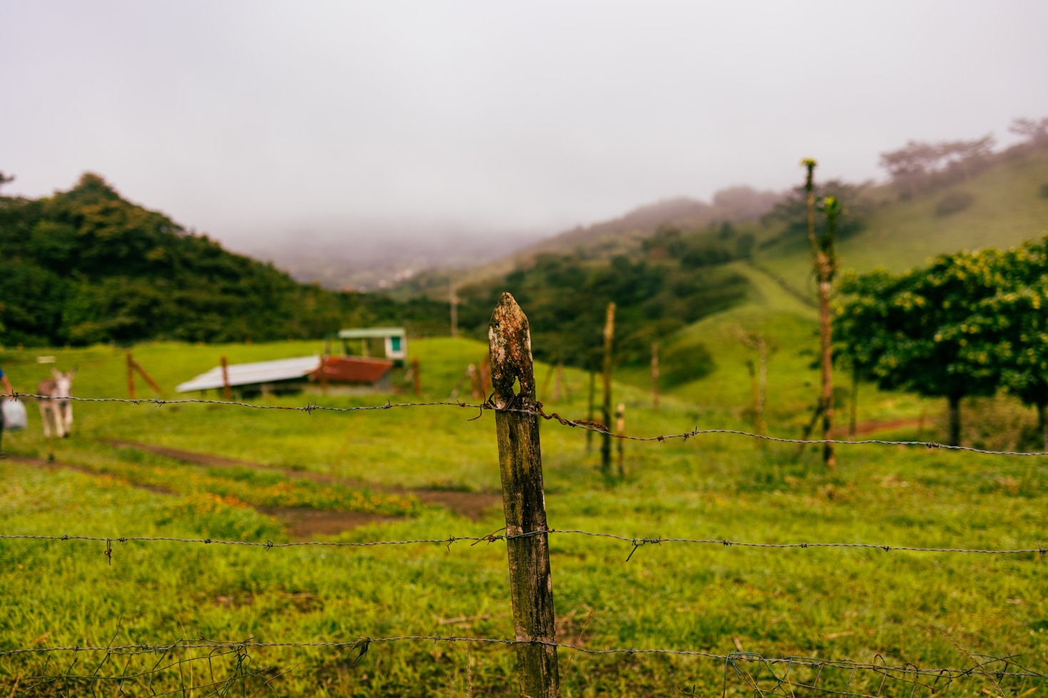 How Small-Town Life Inspires Creative Living